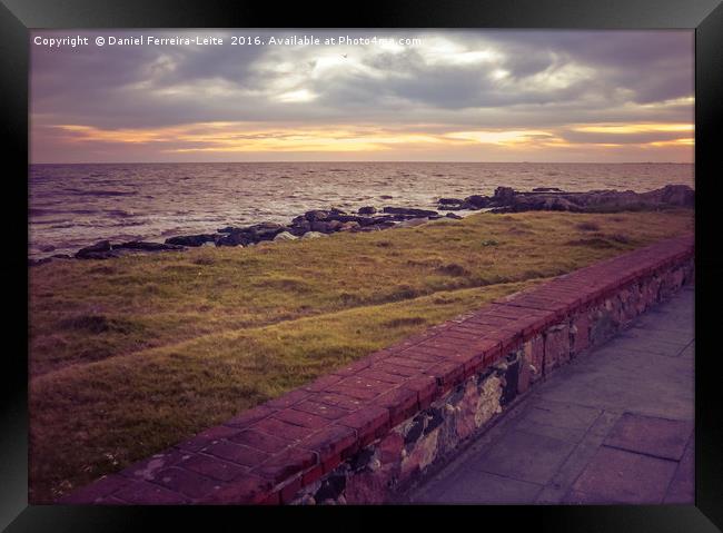 Empty Coast of Montevideo Uruguay Framed Print by Daniel Ferreira-Leite