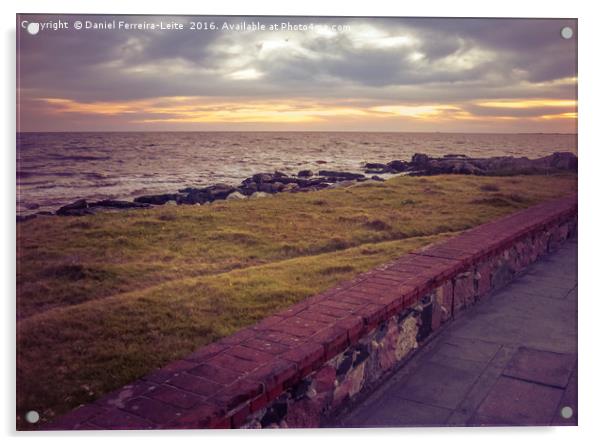 Empty Coast of Montevideo Uruguay Acrylic by Daniel Ferreira-Leite