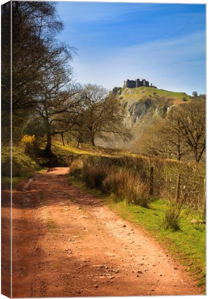 Track to Carreg Cennen Castle Canvas Print by Andrew Ray