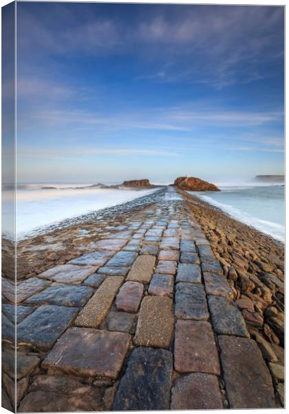 First Light on Bude Breakwater Canvas Print by Andrew Ray
