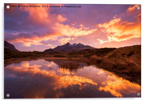 Set fire to the Skye Acrylic by Tracey Whitefoot