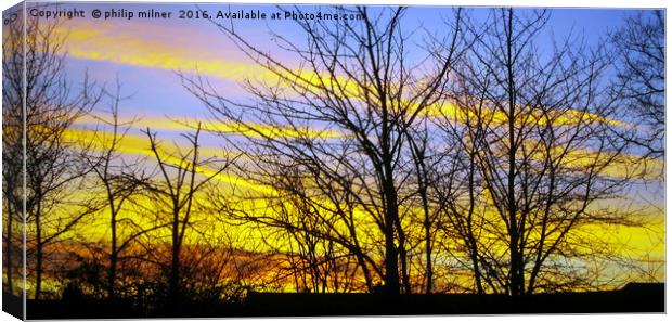 Arley Woods In Sunrise Canvas Print by philip milner