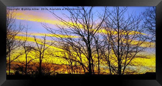 Arley Woods In Sunrise Framed Print by philip milner