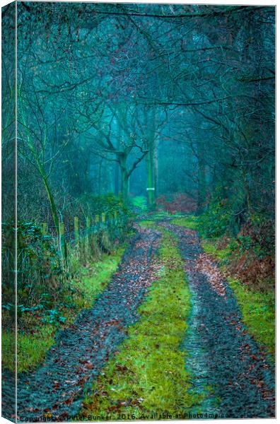 Magic Woods. Canvas Print by Peter Bunker