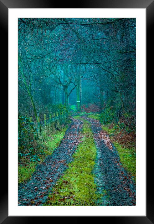 Magic Woods. Framed Mounted Print by Peter Bunker