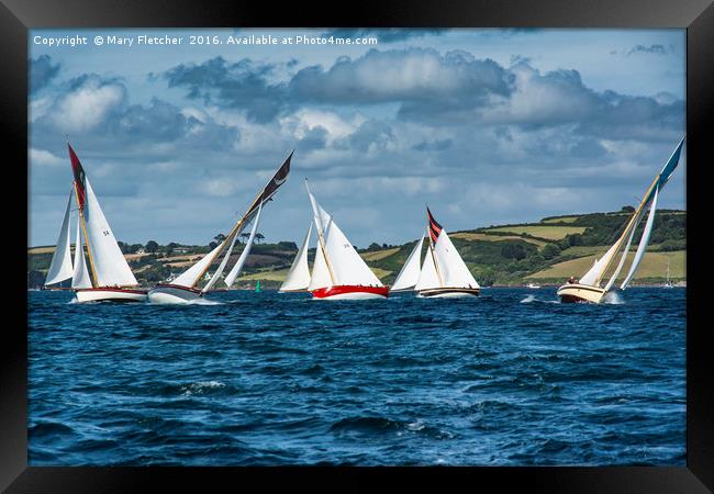 Falmouth Working Boats Race Framed Print by Mary Fletcher