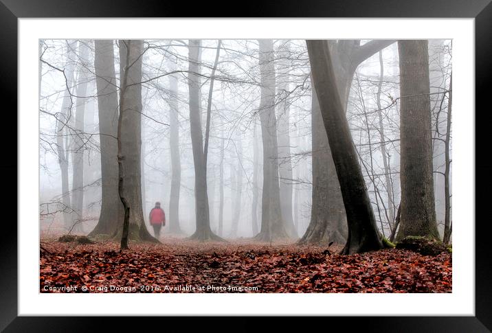 A Walk in the Woods Framed Mounted Print by Craig Doogan