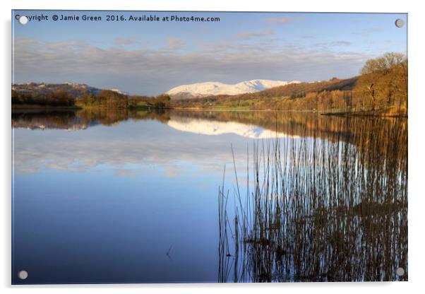 Esthwaite Water, Cumbria Acrylic by Jamie Green