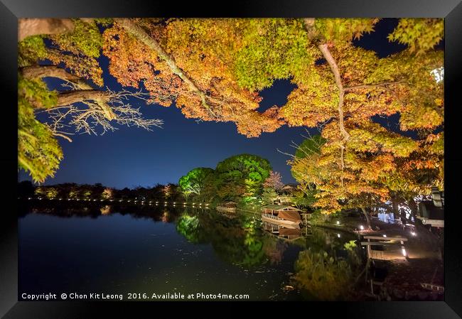 Superb view, fall color at Daikaku-ji Temple, Japa Framed Print by Chon Kit Leong