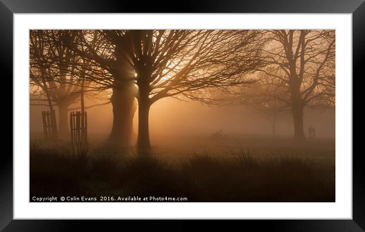 Dawn in Richmond Park London Framed Mounted Print by Colin Evans