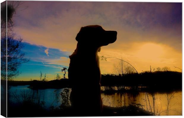  Sunset and Silhouette Labrador Dog                Canvas Print by Sue Bottomley