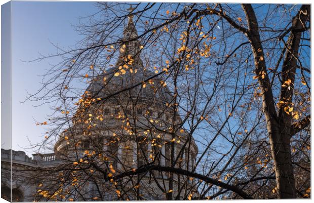Autumn leaves at St Paul's Cathedral London Canvas Print by Gary Eason