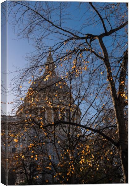 Autumn leaves at St Paul's Cathedral London vertic Canvas Print by Gary Eason