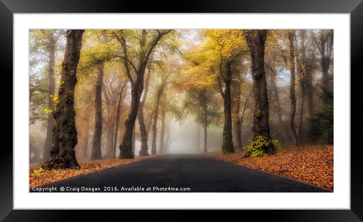 Foggy Autumn Drive Framed Mounted Print by Craig Doogan