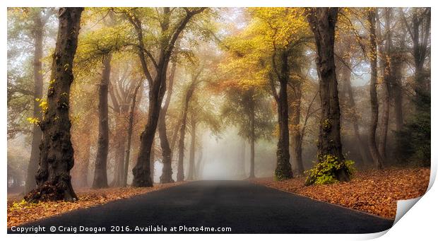 Foggy Autumn Drive Print by Craig Doogan