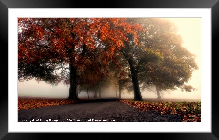 Foggy Autumn Trees Framed Mounted Print by Craig Doogan