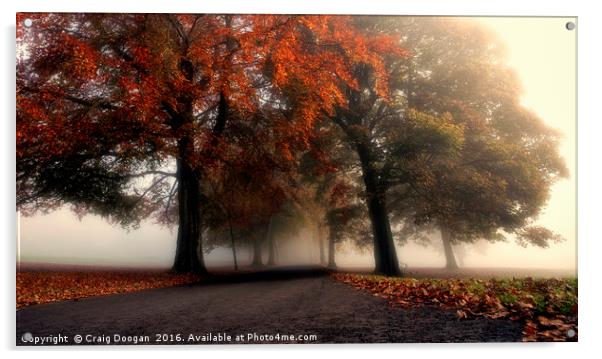 Foggy Autumn Trees Acrylic by Craig Doogan