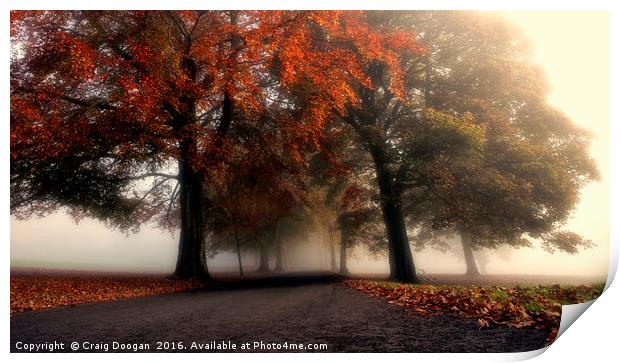Foggy Autumn Trees Print by Craig Doogan