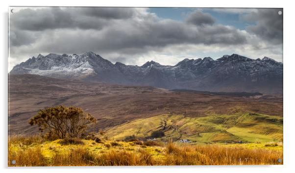 The Cuillins and the Glen Acrylic by Rob Lester