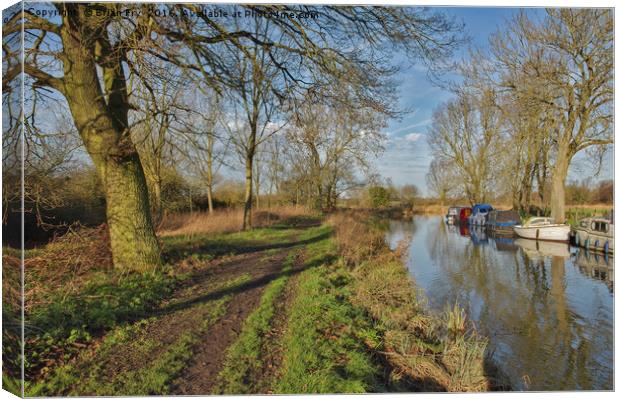 The Tow Path Canvas Print by Brian Fry