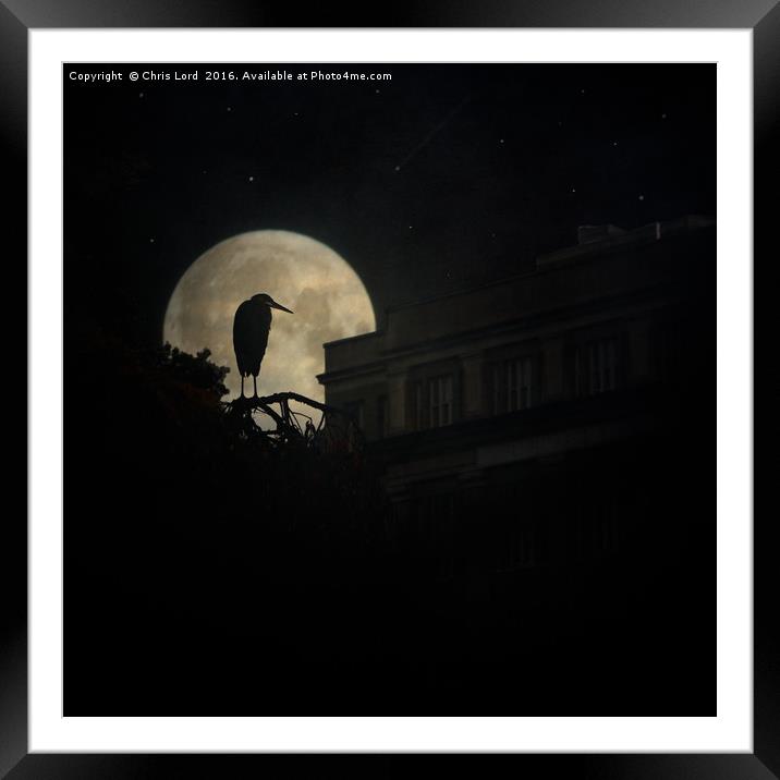Night Of The Heron Framed Mounted Print by Chris Lord