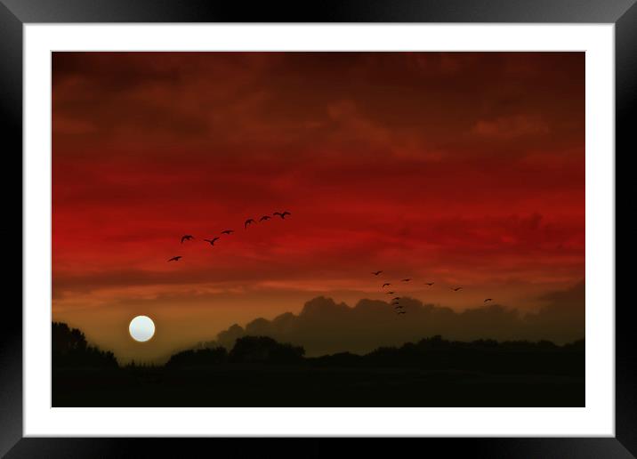 Into A Scarlet Sky Framed Mounted Print by Tom York