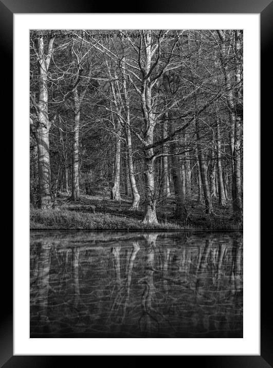 Woodland Reflection Framed Mounted Print by Tony Sharp LRPS CPAGB