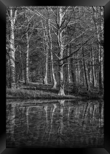 Woodland Reflection Framed Print by Tony Sharp LRPS CPAGB