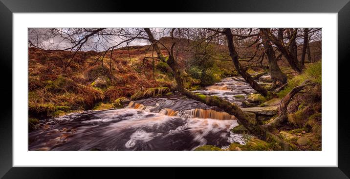 Black Clough Autumn Framed Mounted Print by Mike Higginson