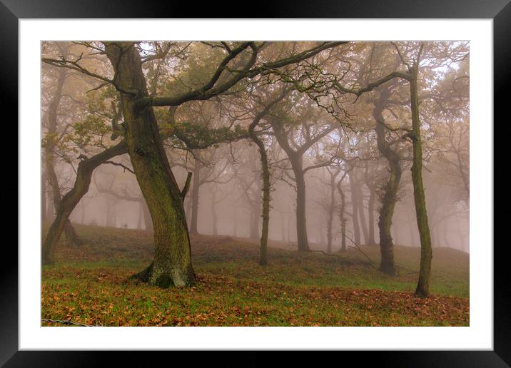 Autumn mist                  Framed Mounted Print by chris smith
