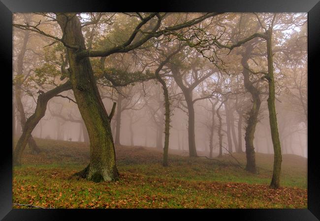 Autumn mist                  Framed Print by chris smith