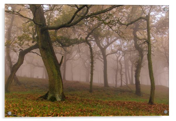 Autumn mist                  Acrylic by chris smith