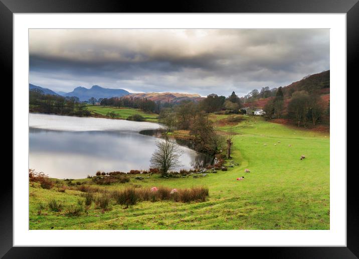 loughrigg tarn           Framed Mounted Print by chris smith