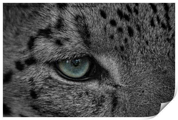 Eye Of The Leopard Print by rawshutterbug 