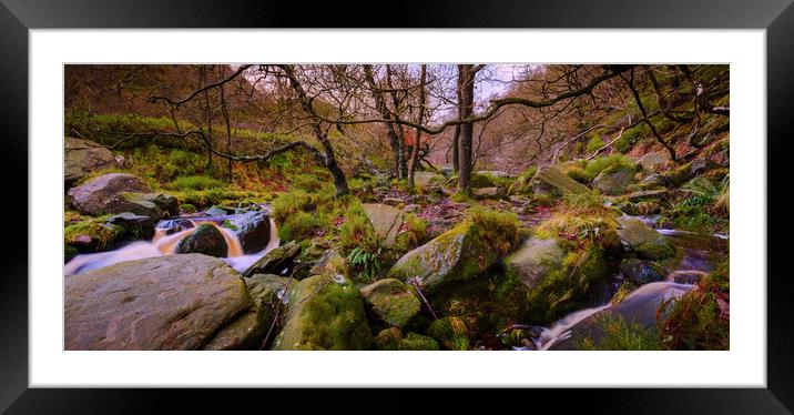 Woodland Stream panoramic Framed Mounted Print by Mike Higginson