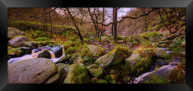 Woodland Stream panoramic Framed Print by Mike Higginson