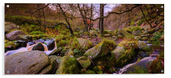Woodland Stream panoramic Acrylic by Mike Higginson