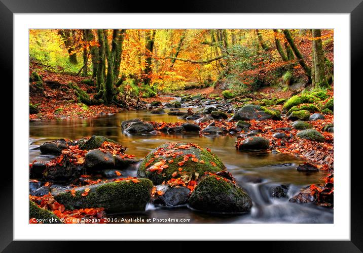 Alyth Den - Autumn Stream Framed Mounted Print by Craig Doogan