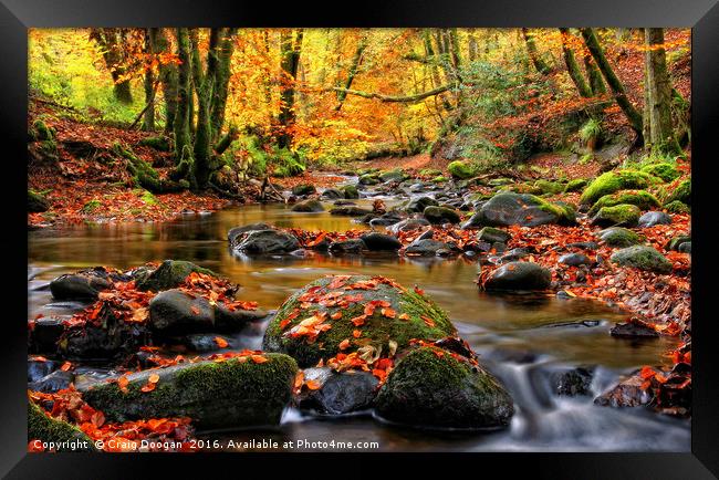 Alyth Den - Autumn Stream Framed Print by Craig Doogan