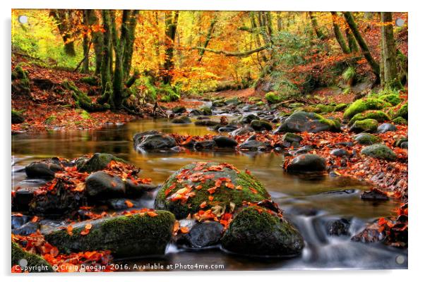 Alyth Den - Autumn Stream Acrylic by Craig Doogan