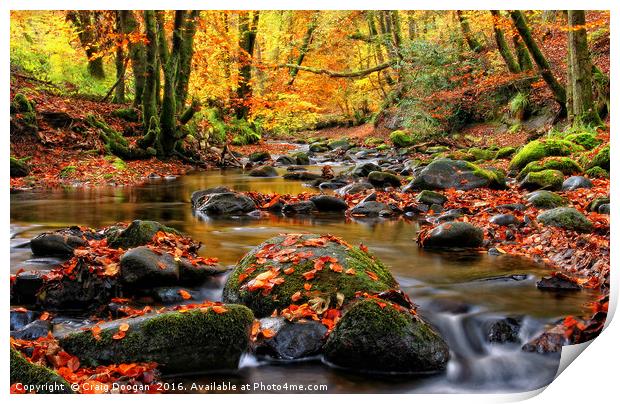 Alyth Den - Autumn Stream Print by Craig Doogan