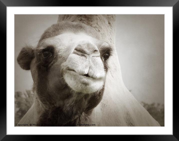 Camel with the Hump Framed Mounted Print by Michelle Smith
