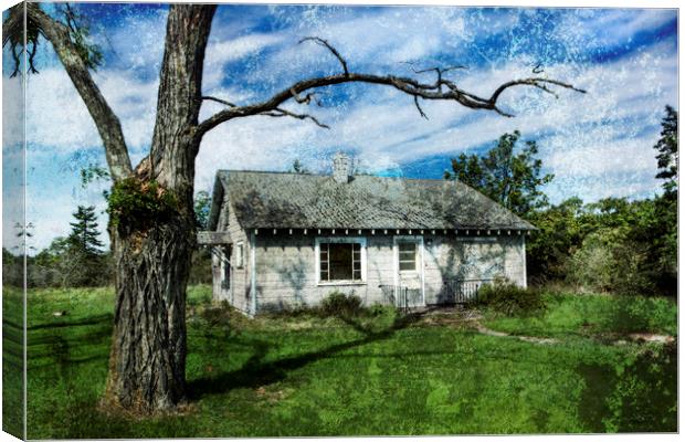 Textured Cottage Canvas Print by David Hare