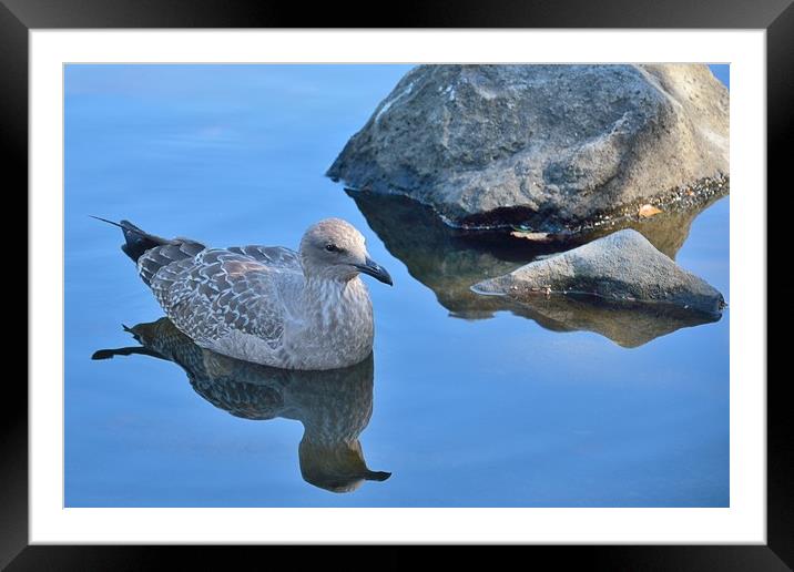 "Serene Pond" Framed Mounted Print by Jerome Cosyn