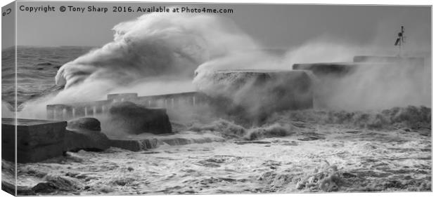 Winter Storm, Hastings, East Sussex Canvas Print by Tony Sharp LRPS CPAGB