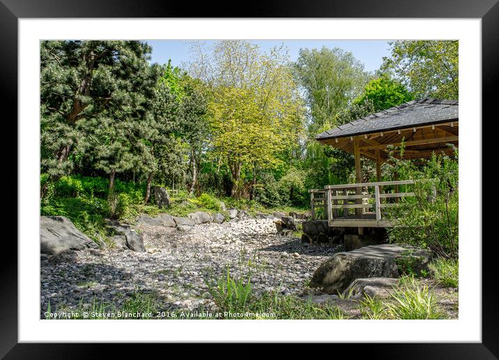 Japanese garden otterspool  Framed Mounted Print by Steven Blanchard