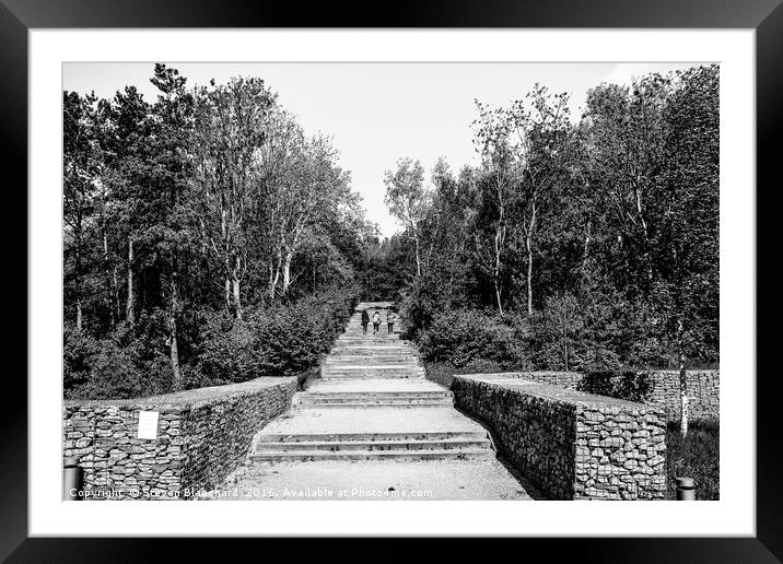 Long stairs otterspool gardens Framed Mounted Print by Steven Blanchard