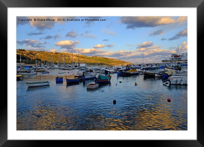Gozo Harbour evening Framed Mounted Print by Diana Mower