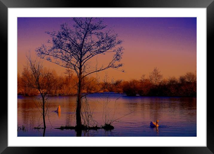 Sunset over the lake                               Framed Mounted Print by Sue Bottomley