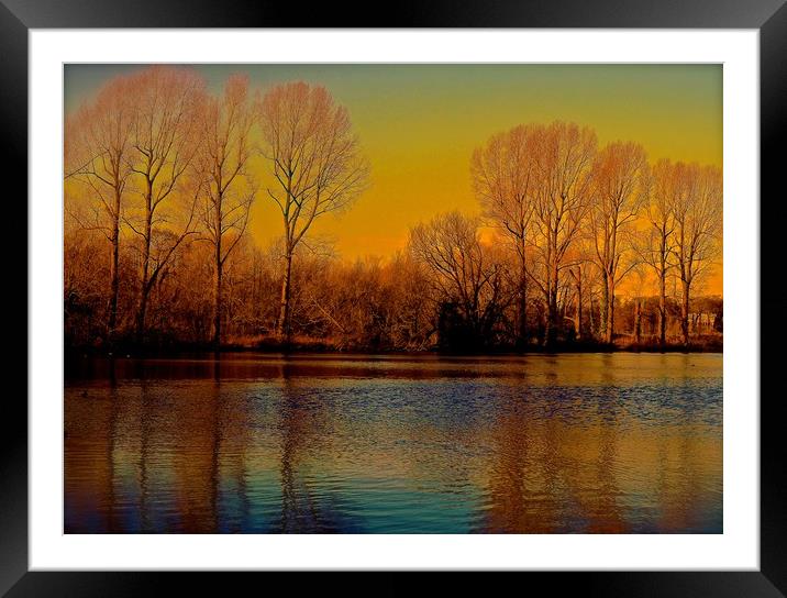 Trees across the lake, Autumn Colours              Framed Mounted Print by Sue Bottomley